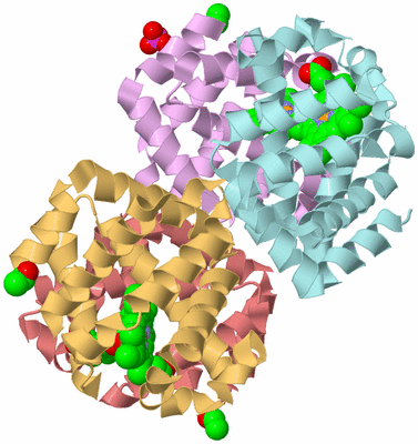 Image Biological Unit 2