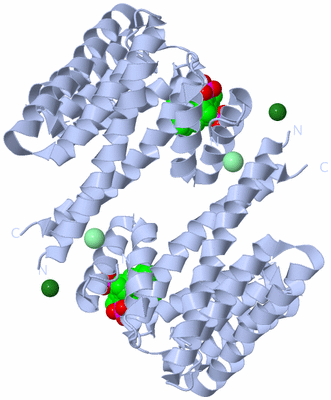 Image Biological Unit 1