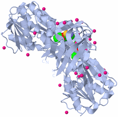 Image Biological Unit 1