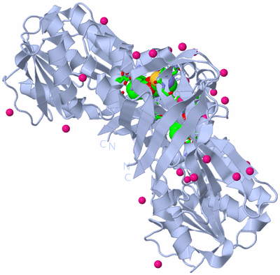 Image Biol. Unit 1 - sites