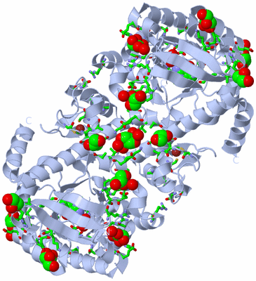 Image Biol. Unit 1 - sites