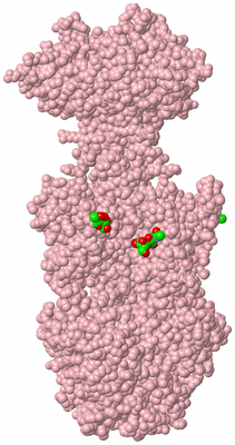 Image Biological Unit 3