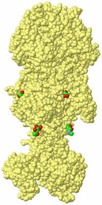 Image Biological Unit 4