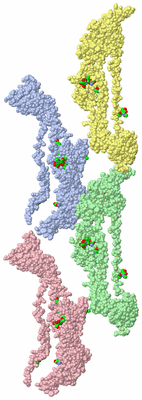 Image Asym. Unit - sites