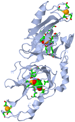 Image Biol. Unit 1 - sites