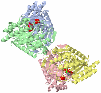 Image Asym./Biol. Unit