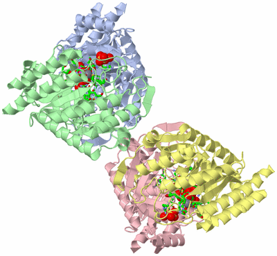 Image Asym./Biol. Unit - sites