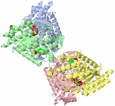 Image Asym./Biol. Unit