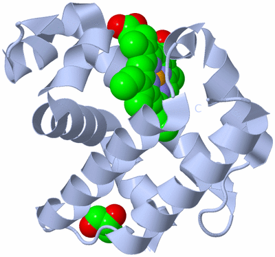 Image Biological Unit 1