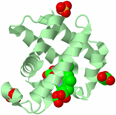 Image Biological Unit 2