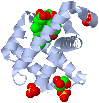 Image Biological Unit 1