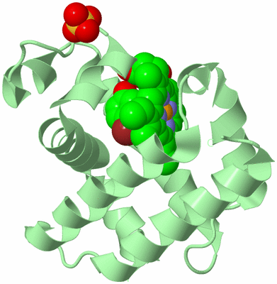 Image Biological Unit 2