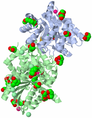 Image Biological Unit 1