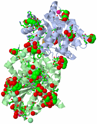 Image Biol. Unit 1 - sites