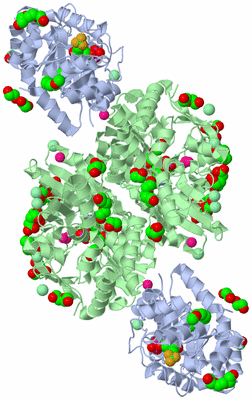 Image Biological Unit 2