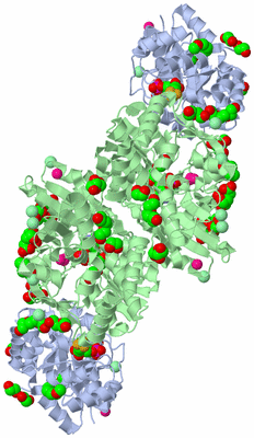 Image Biological Unit 3