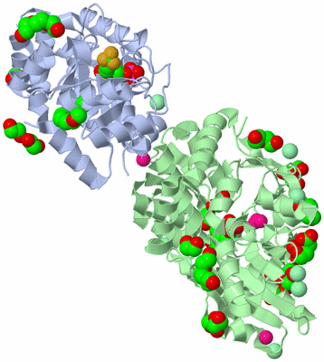 Image Biological Unit 4