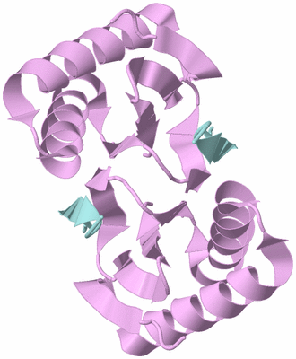 Image Biological Unit 4