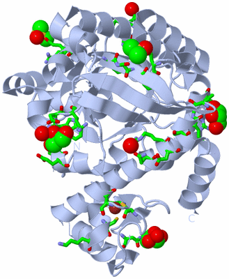 Image Biol. Unit 1 - sites