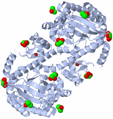 Image Biological Unit 2