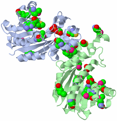 Image Asym./Biol. Unit