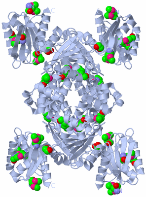 Image Biological Unit 2