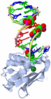 Image Biological Unit 1