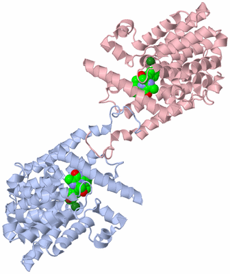 Image Biological Unit 1