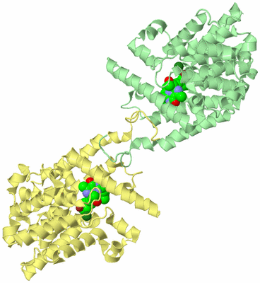 Image Biological Unit 2