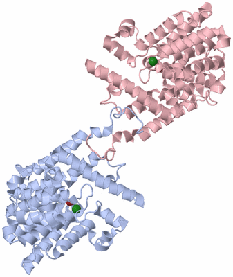 Image Biological Unit 1