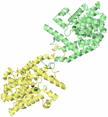 Image Biological Unit 2