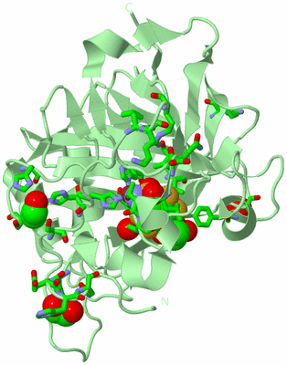 Image Biol. Unit 1 - sites