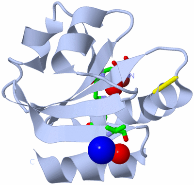 Image Biol. Unit 1 - sites