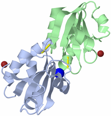 Image Biological Unit 3