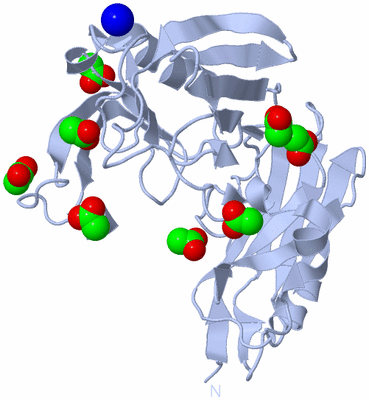 Image Biological Unit 1