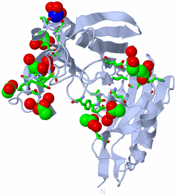 Image Biol. Unit 1 - sites