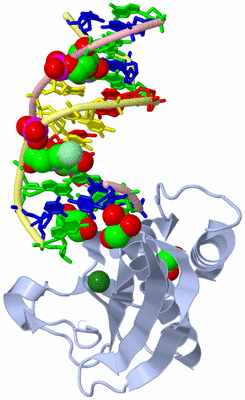 Image Biological Unit 1