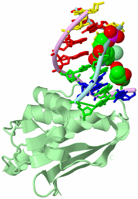 Image Biological Unit 2