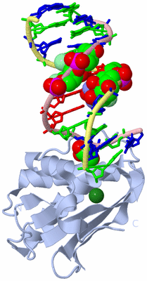 Image Biological Unit 1