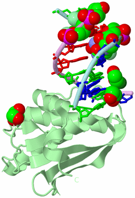 Image Biological Unit 2