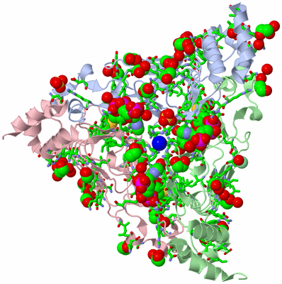 Image Asym./Biol. Unit - sites