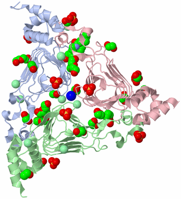 Image Asym./Biol. Unit