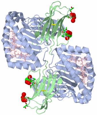 Image Biol. Unit 1 - sites