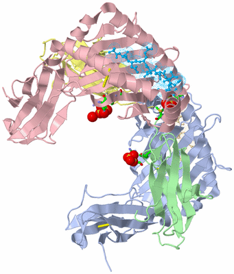 Image Biol. Unit 1 - sites