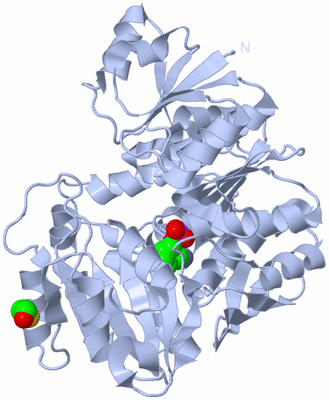 Image Biological Unit 1