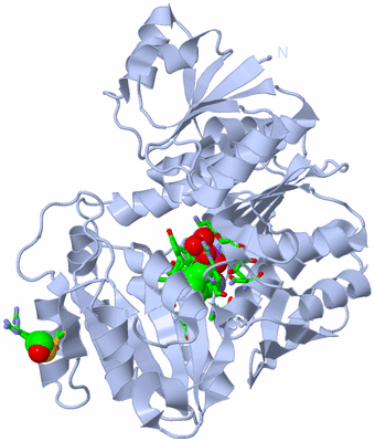 Image Biol. Unit 1 - sites