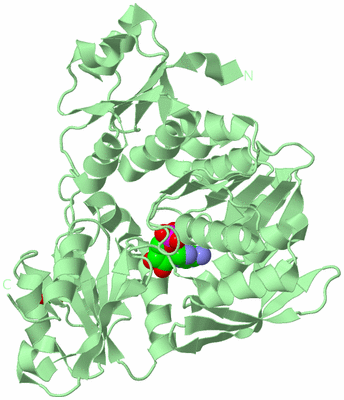 Image Biological Unit 2