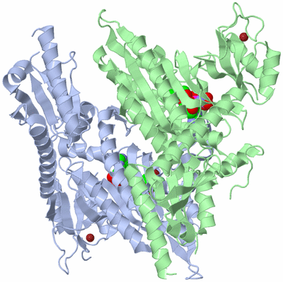 Image Asym./Biol. Unit