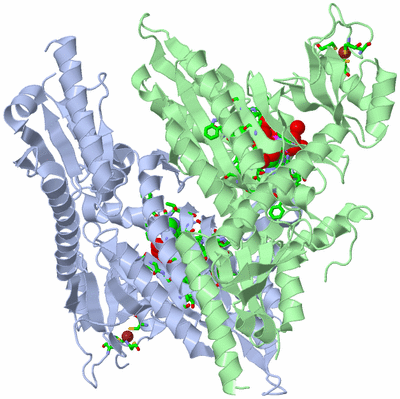 Image Asym./Biol. Unit - sites