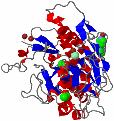 Image Asym./Biol. Unit